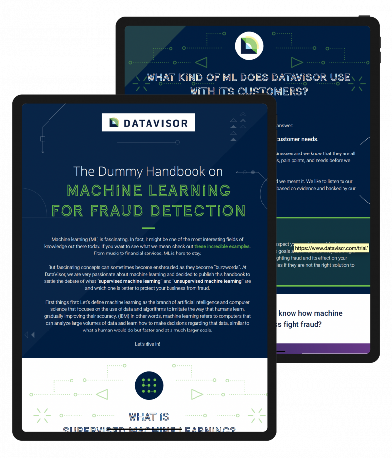 The Dummy Handbook on Machine Learning Fraud Detection 