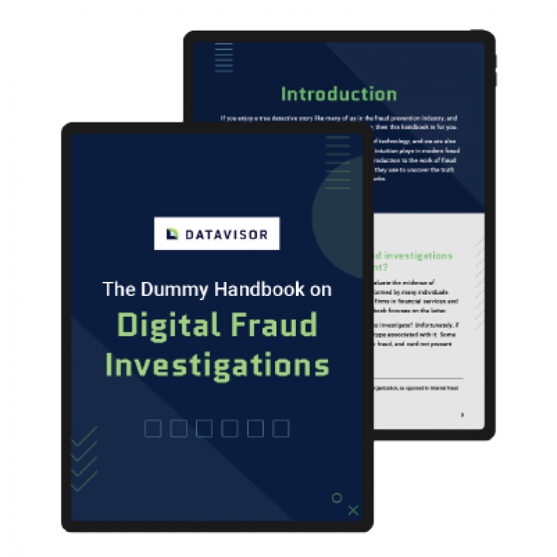 digital fraud investigations ebook preview 