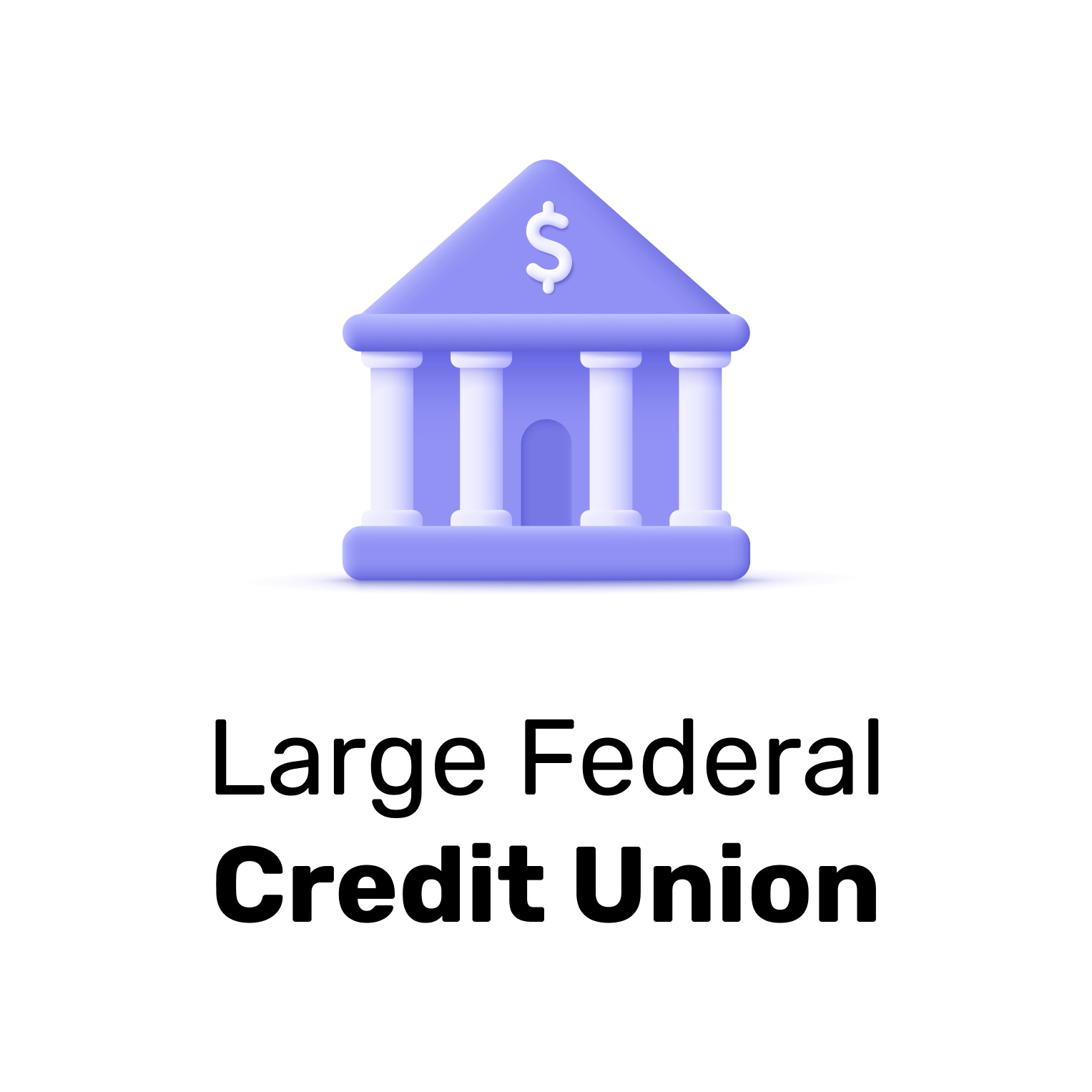 Large Federal Credit Union